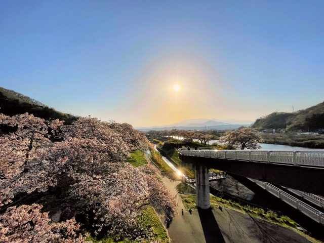 しばた千桜橋